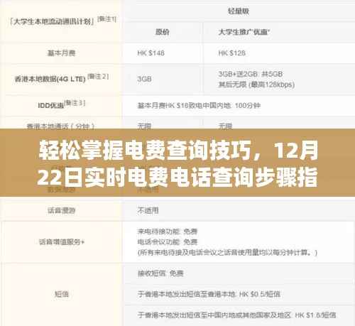 电费查询轻松上手，12月22日实时电费电话查询步骤详解
