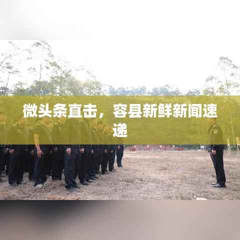 微头条直击,容县新鲜新闻速递