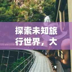 不飞则已