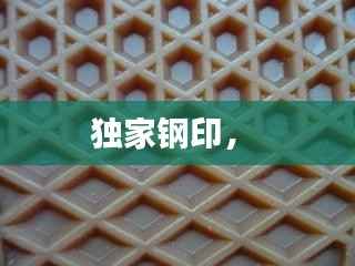 独家钢印， 