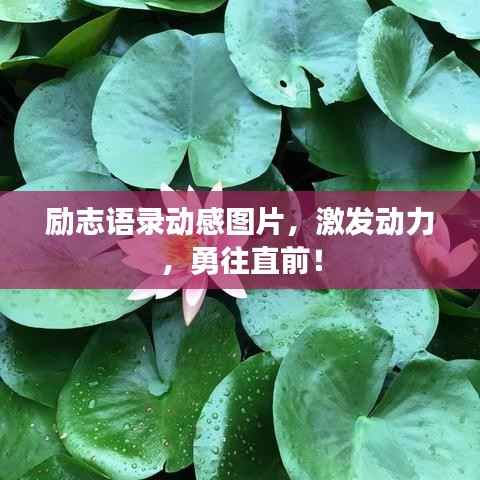 励志语录动感图片，激发动力，勇往直前！