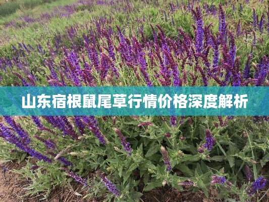 第707页