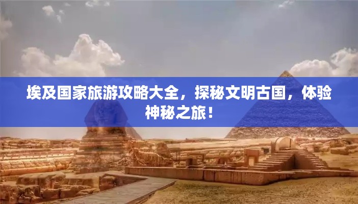 穷鸟入怀