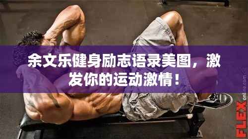十全十美